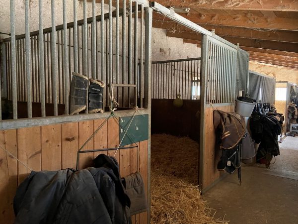 Box accueillant les chevaux au Domaine équestre du Poët