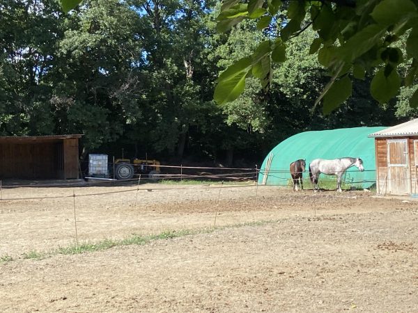 Paddock accueillant les chevaux au gîte Le Petit Chariot